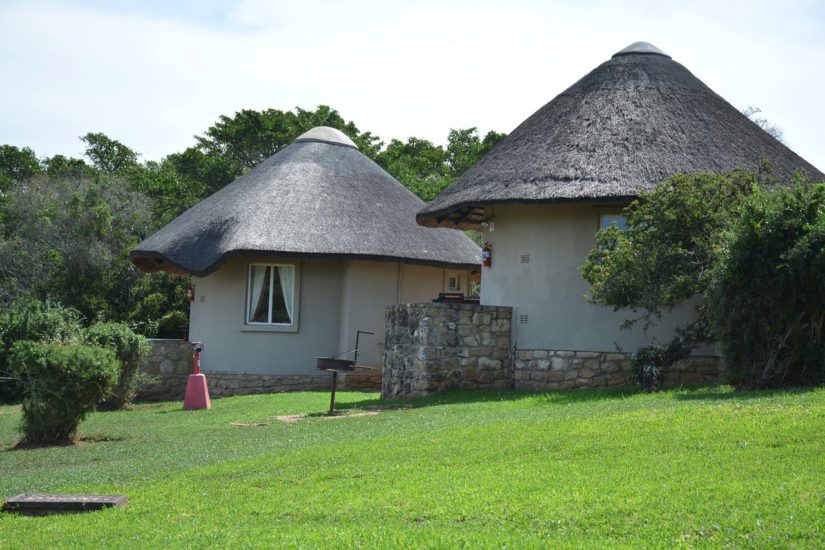 Addo Elephant Main Camp Camping Dans Le Parc National Addo Elephant 8963