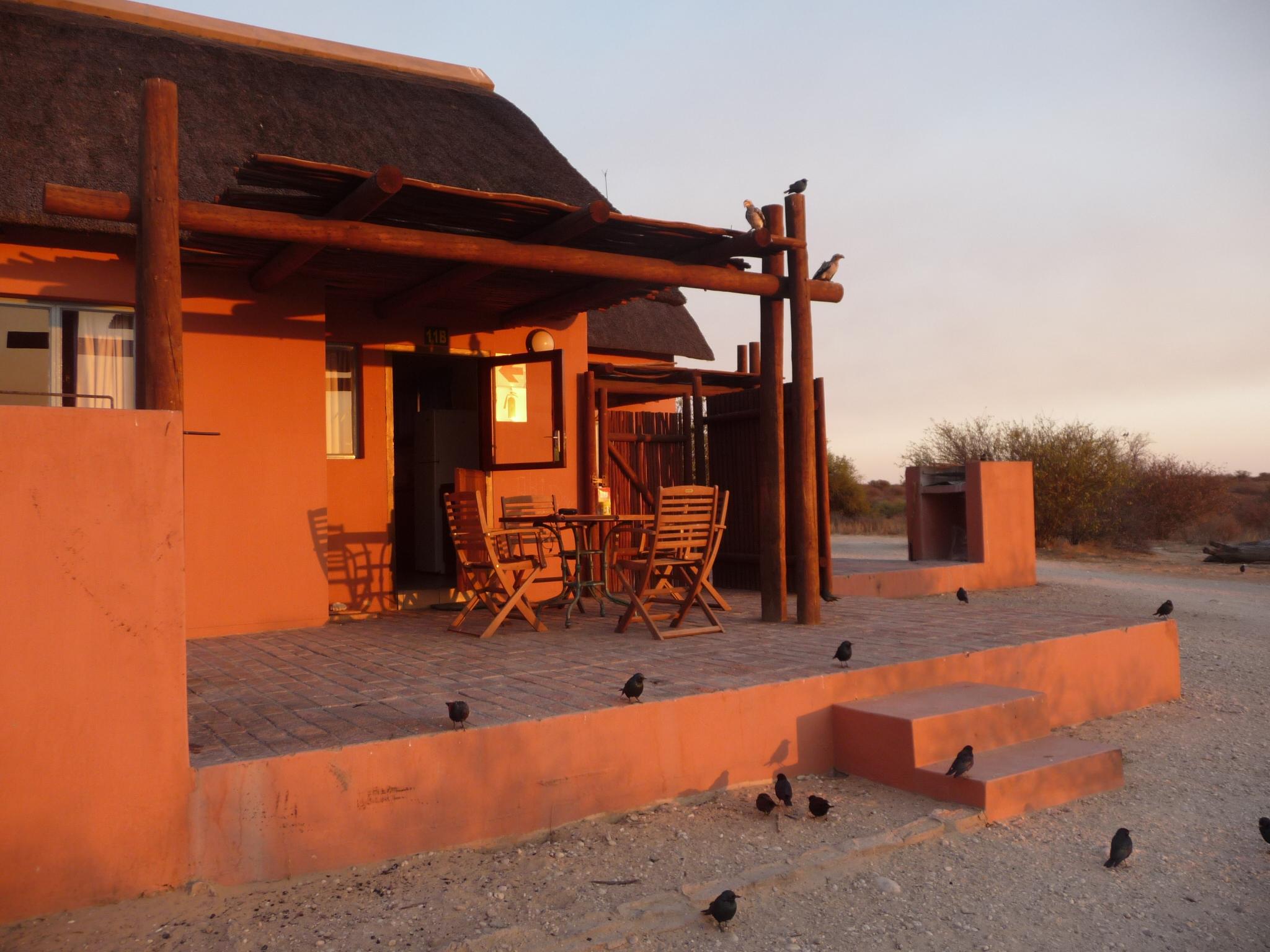 Nossob Rest Camp - Parc National de Kgalagadi - Tourmaline Safaris